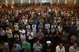 image-237