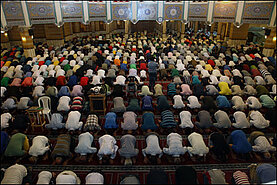 image-236