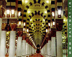 image-731